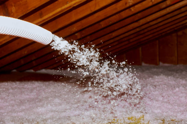 Best Geographic-Specific Insulation Services in Clarksville, TX