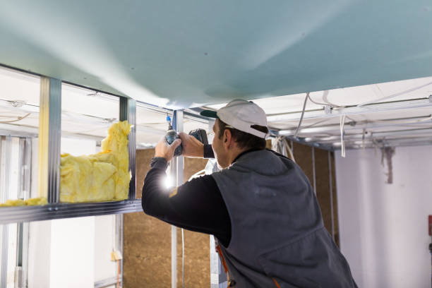 Best Insulation Maintenance and Repair in Clarksville, TX