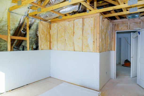 Best Eco-Friendly Insulation in Clarksville, TX