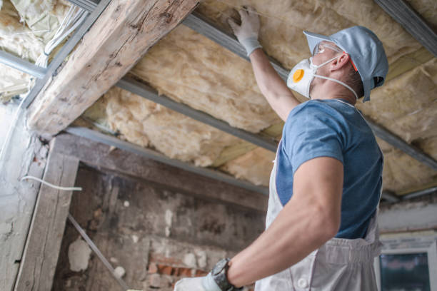 Best Cellulose Insulation in Clarksville, TX